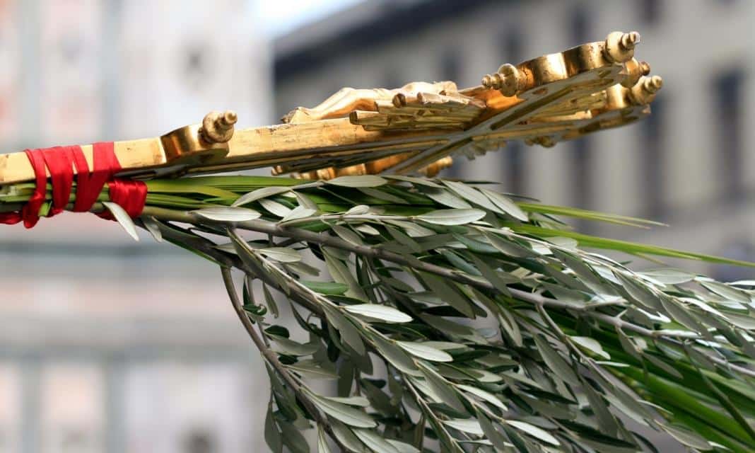 Niedziela Palmowa w Rzeszowie: Zwyczaje i Tradycje Warto Poznać